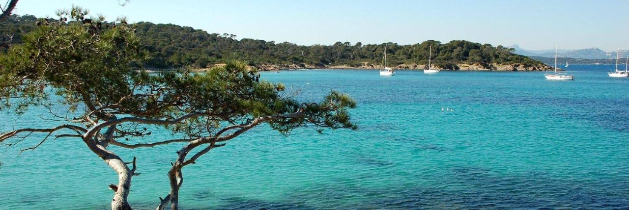Spacieux Studio Sur Le Port De Hyeres Ngoại thất bức ảnh